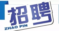 岱岳區(qū)政務(wù)服務(wù)中心招人啦！大專以上學(xué)歷，即日起報(bào)名